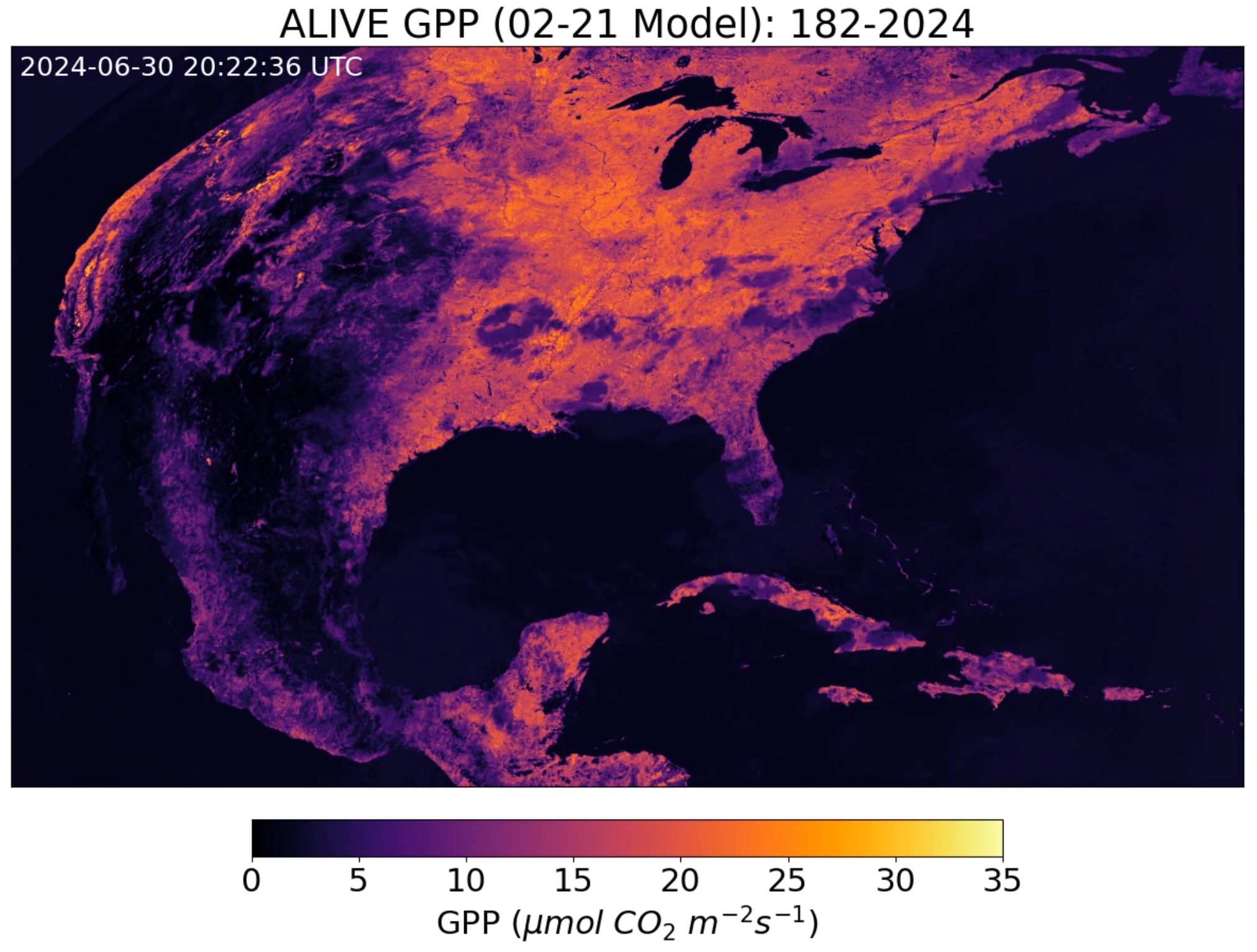 Alive Model Visualization